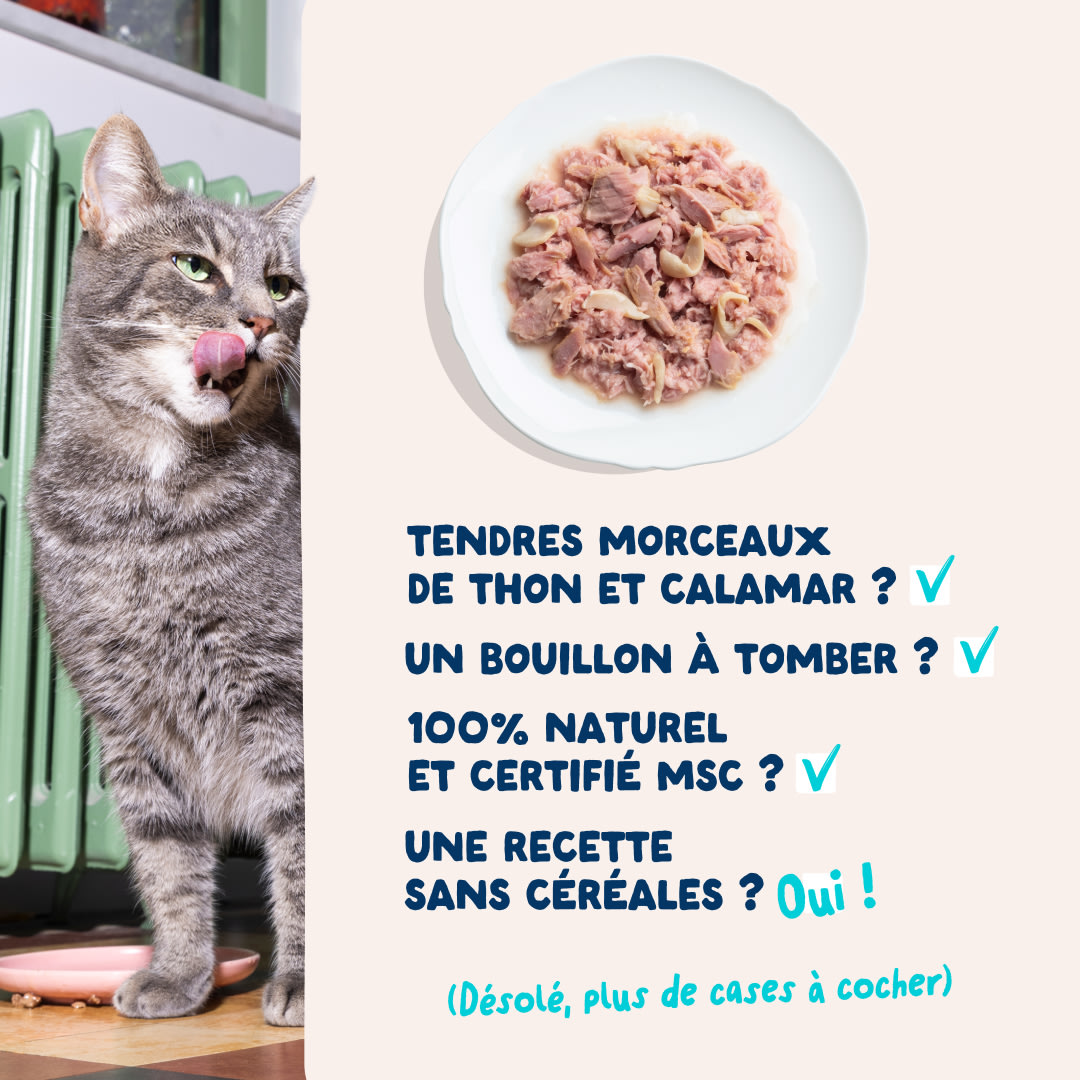 5 Cat-Fillets DTC FR TunaSquid USPs