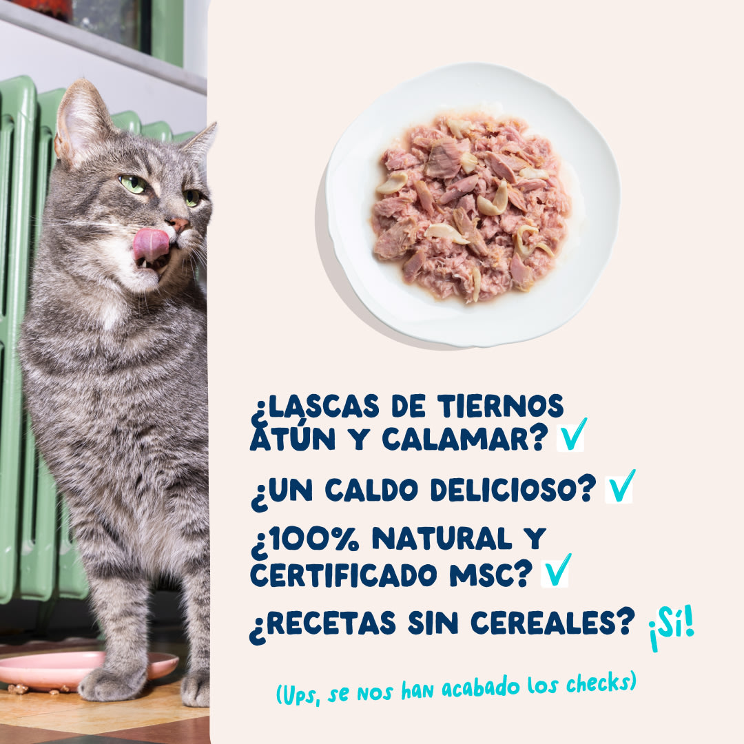 5 Cat-Fillets DTC ES TunaSquid USPs