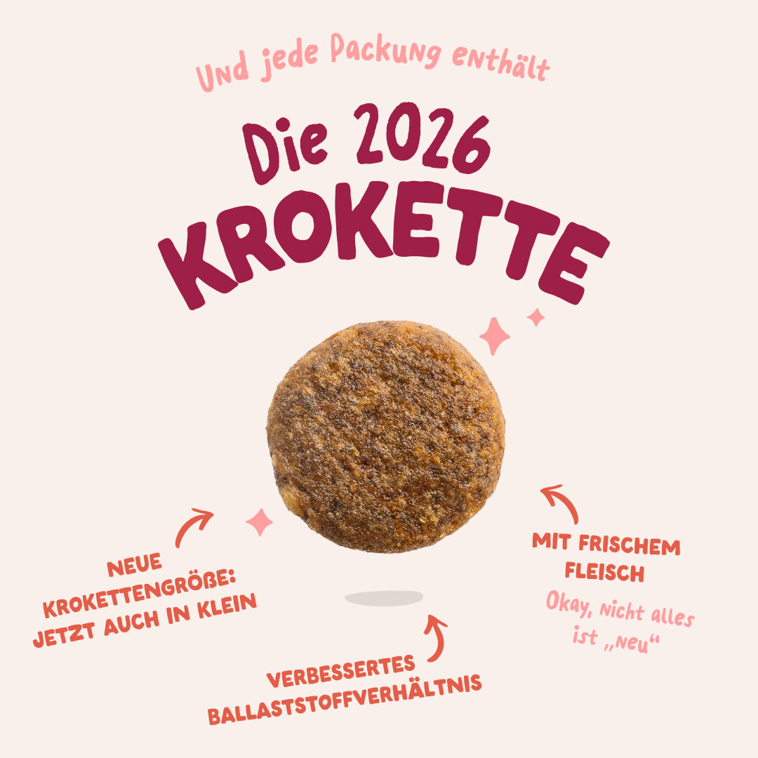 3 Dog-Refresh DTC-Assets DE Senior-Chicken 2026 KIBBLE