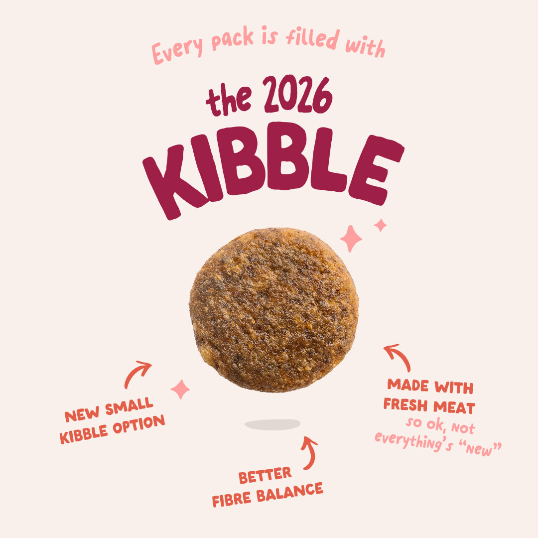 3 Dog-Refresh DTC-Assets EN Senior-Chicken 2026 KIBBLE
