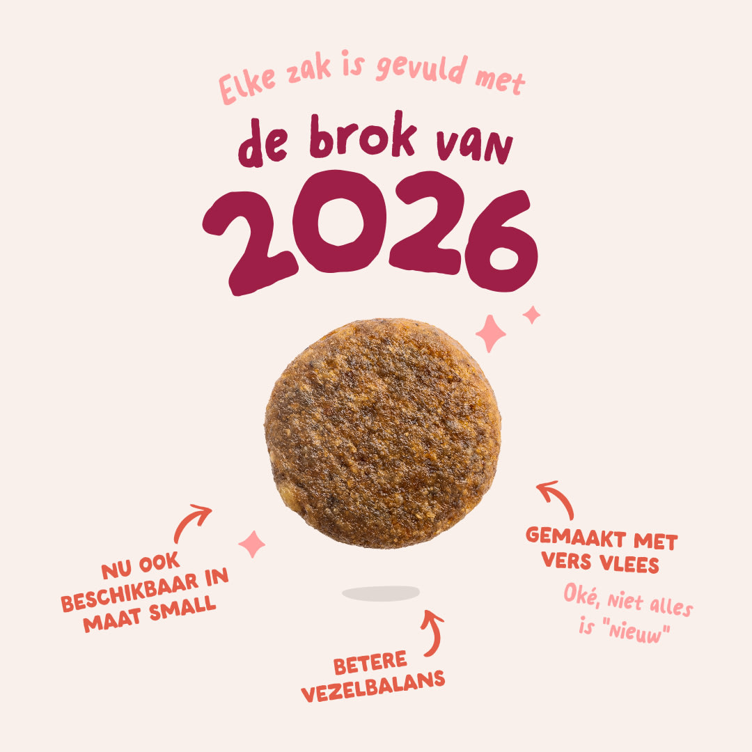 3 Dog-Refresh DTC-Assets NL Senior-Chicken 2026 KIBBLE
