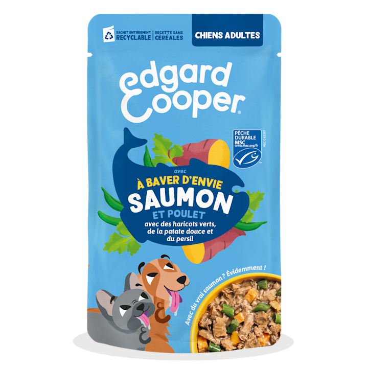 EC 2026 Dog Adult Pouch Salmon Singles FOP