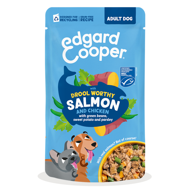 EC 2026 Dog Adult Pouch Salmon Singles FOP