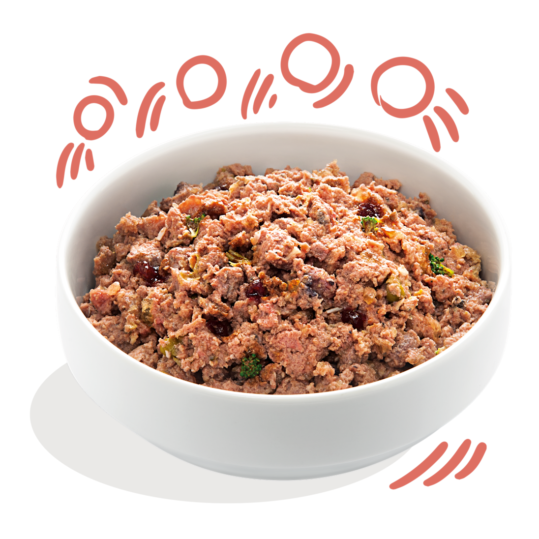 Product - Dog Senior Paté Tin Chicken Salmon