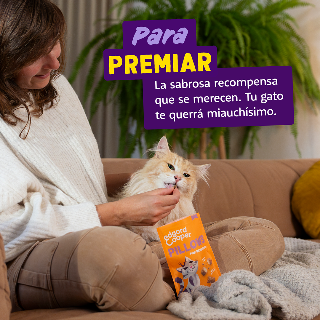 Ecomm Needs - Cat All Pillows Chicken ES