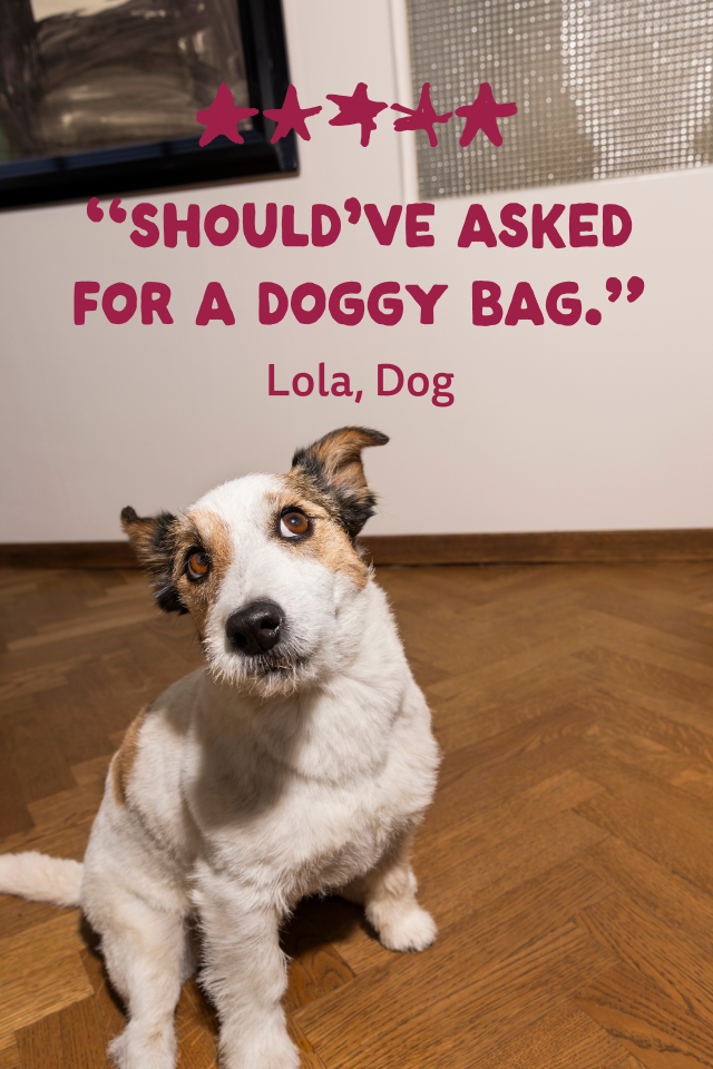 Review Lola, Dog