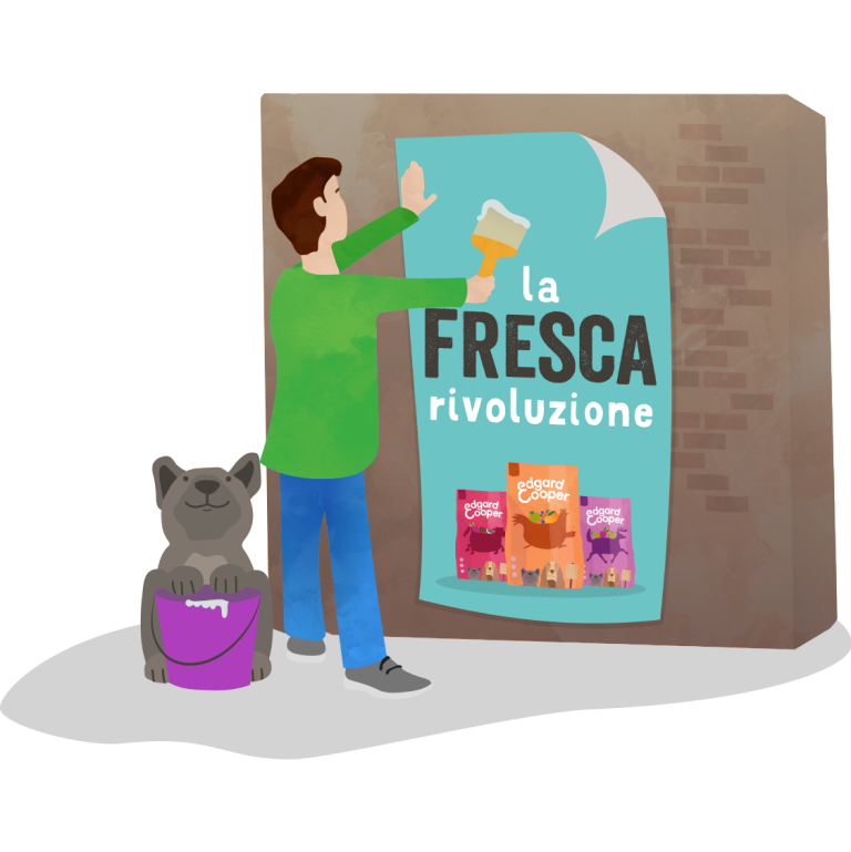 FreshRevolution IT