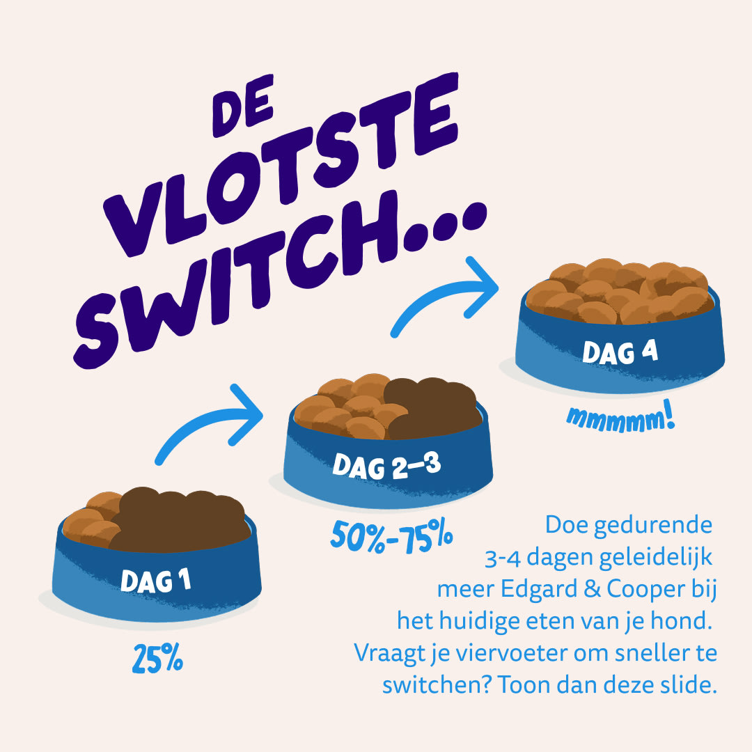 4 Dog-Refresh DTC-Assets NL Adult-Salmon SWITCH