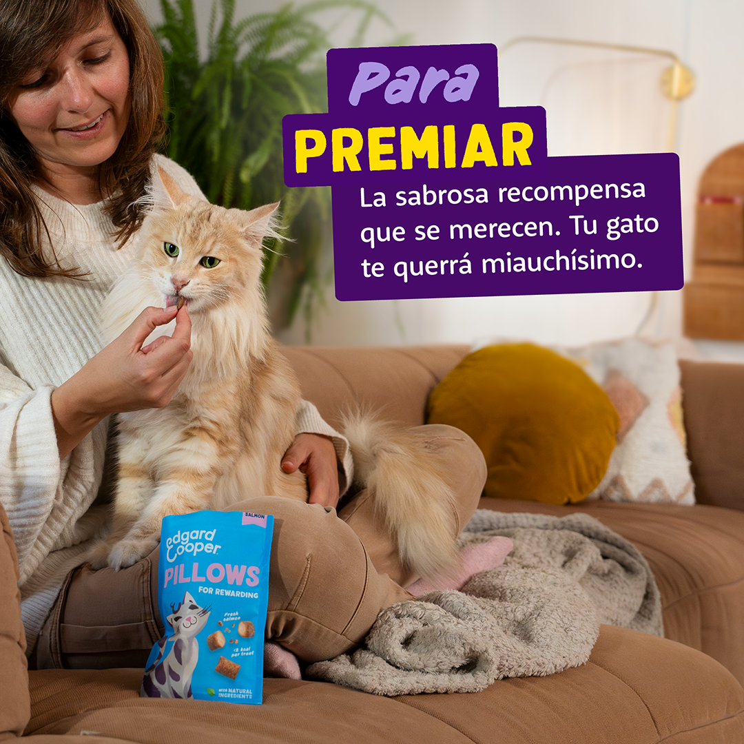 Ecomm Needs - Cat All Pillows Salmon ES