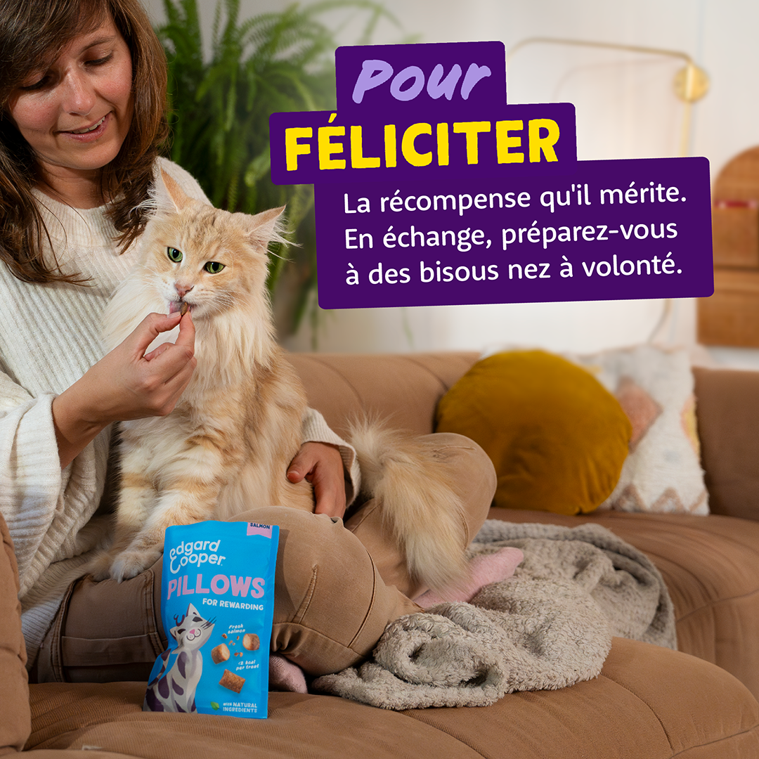 Ecomm Needs - Cat All Pillows Salmon FR