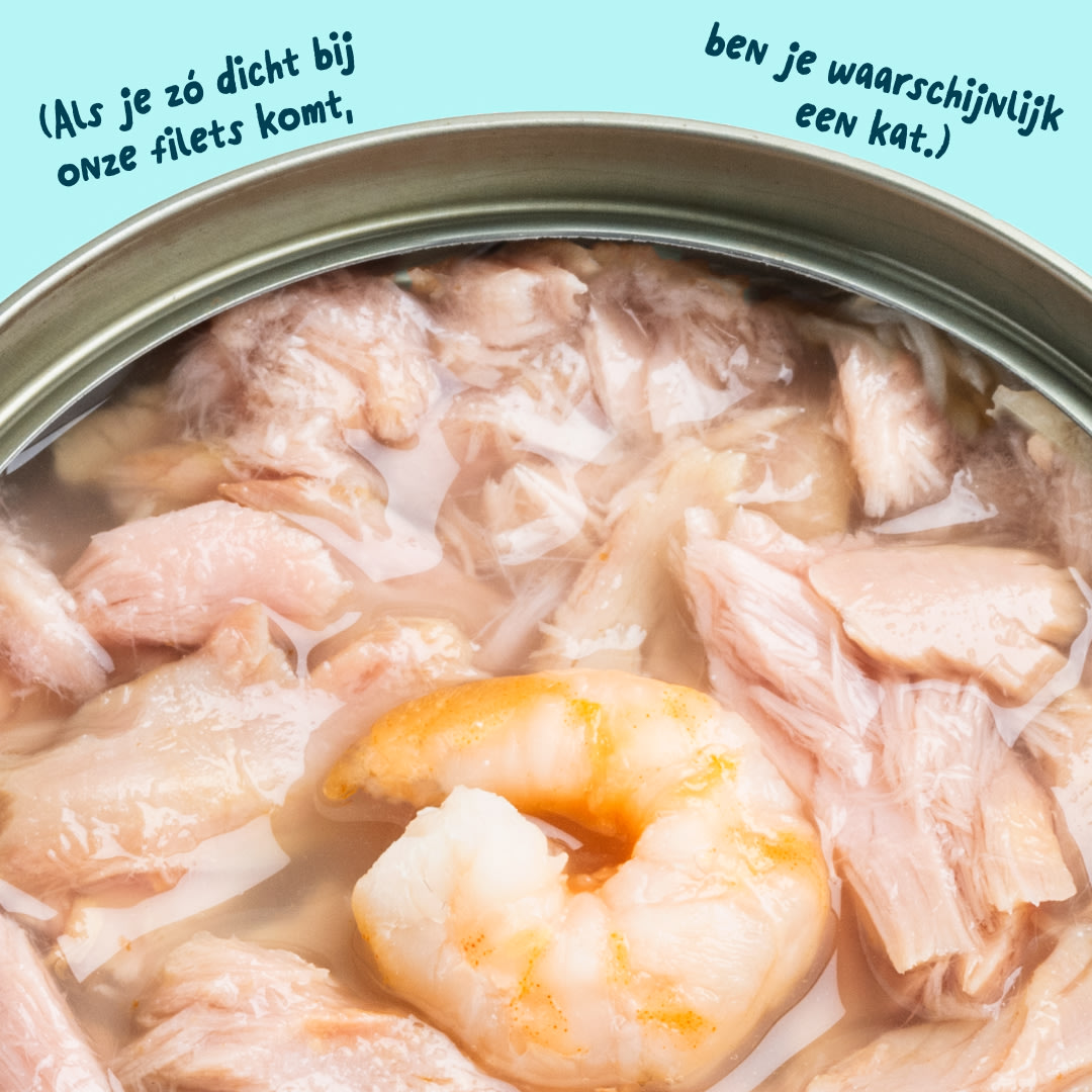 6 Cat-Fillets DTC NL TunaShrimp Texture
