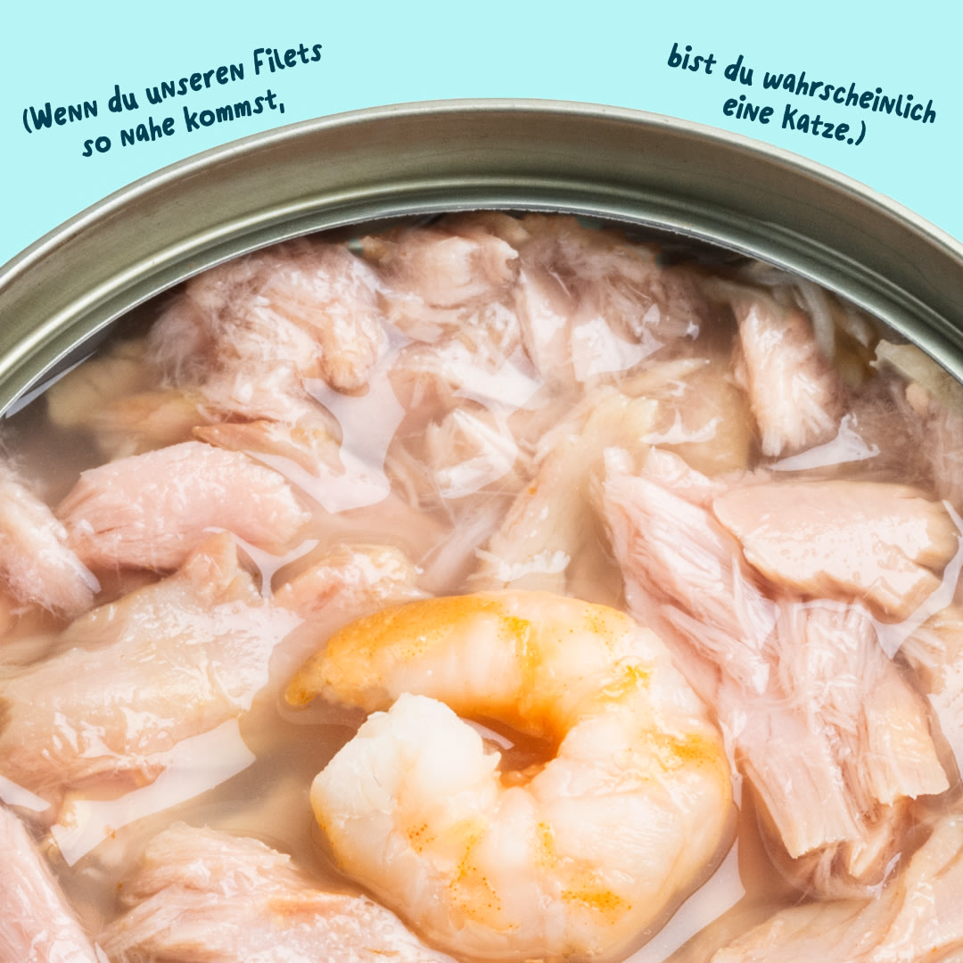 6 Cat-Fillets DTC DE TunaShrimp Texture