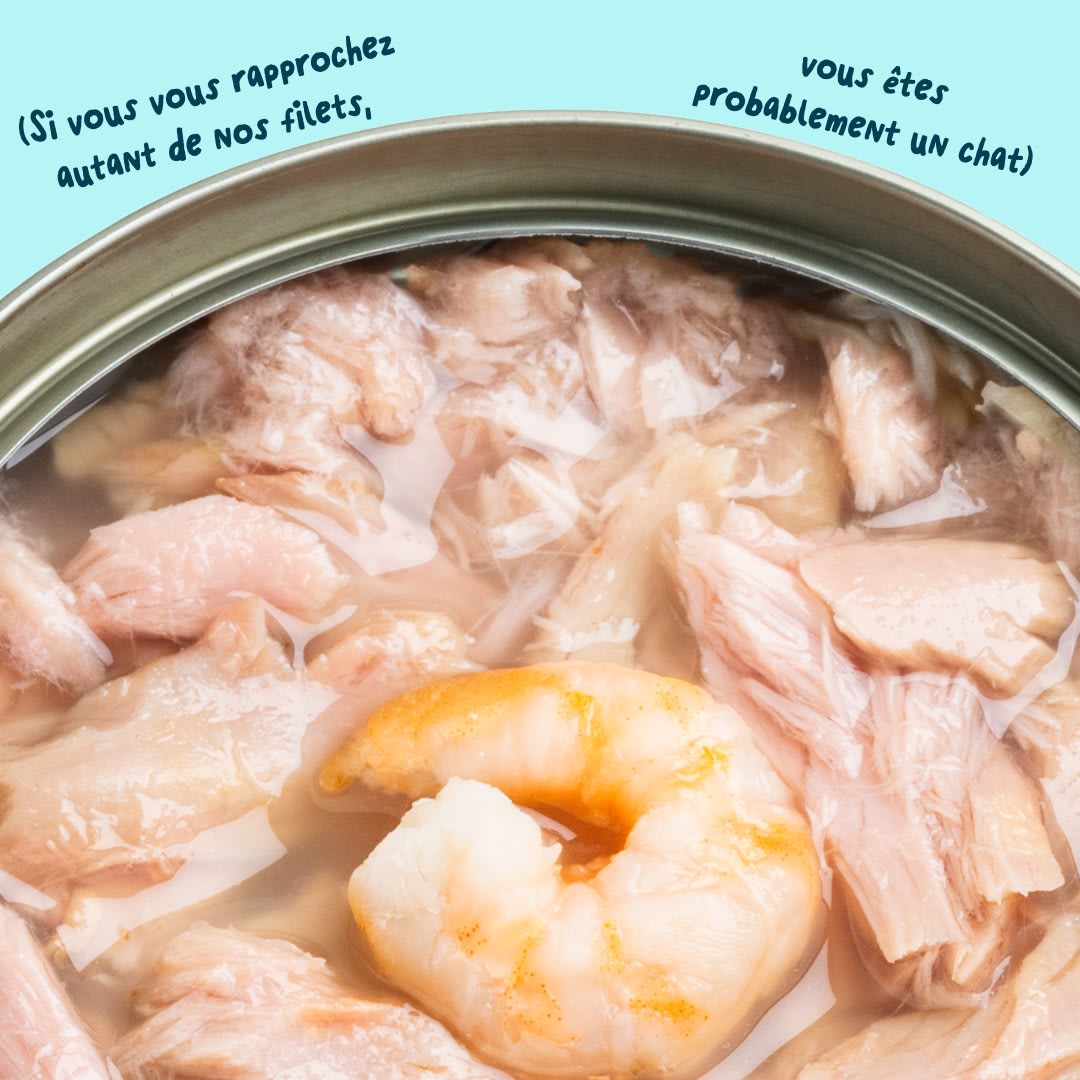 6 Cat-Fillets DTC FR TunaShrimp Texture