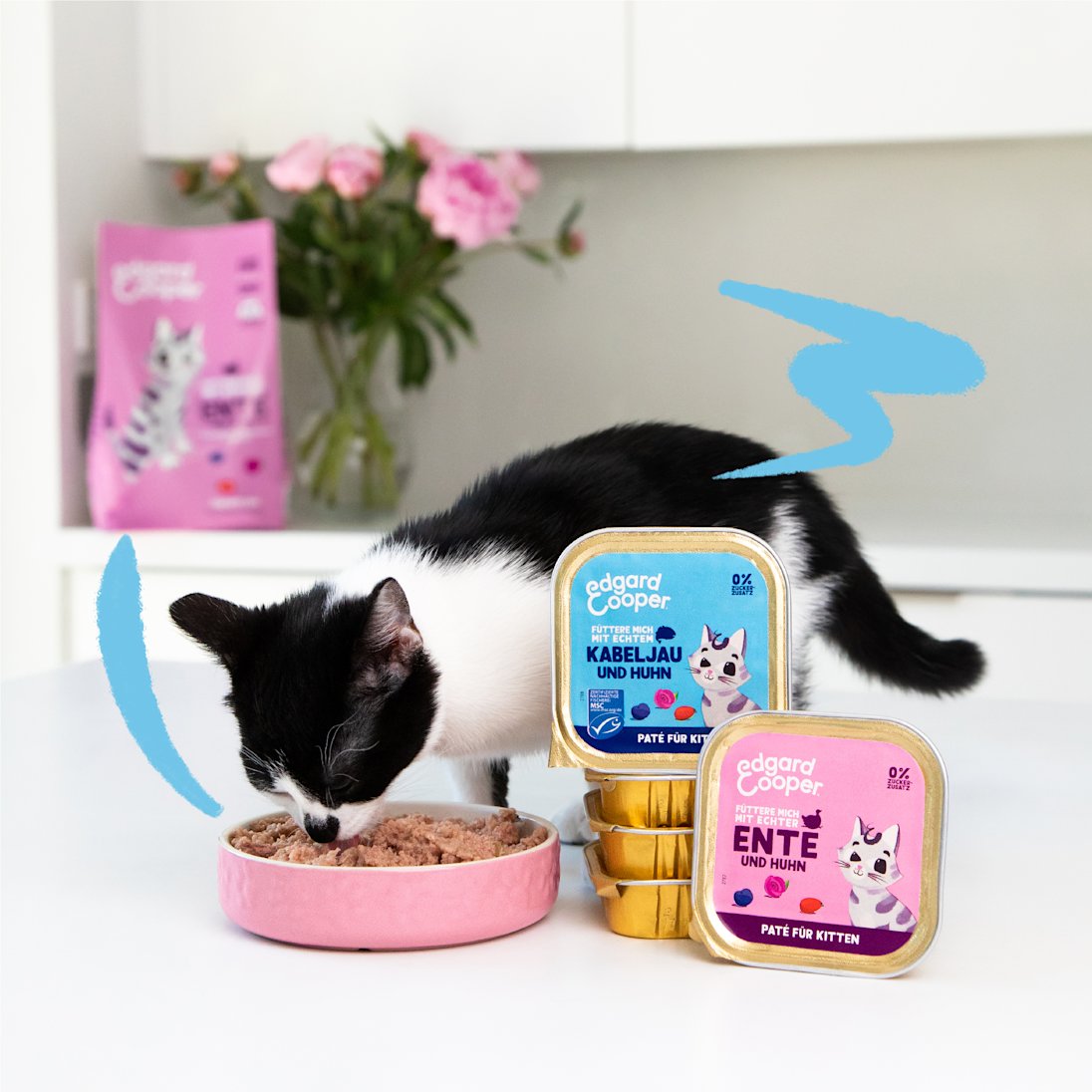 Lifestyle - Cat Junior Paté Cup DE