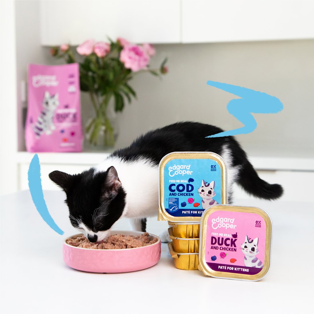 Lifestyle - Cat Junior Paté Cup EN