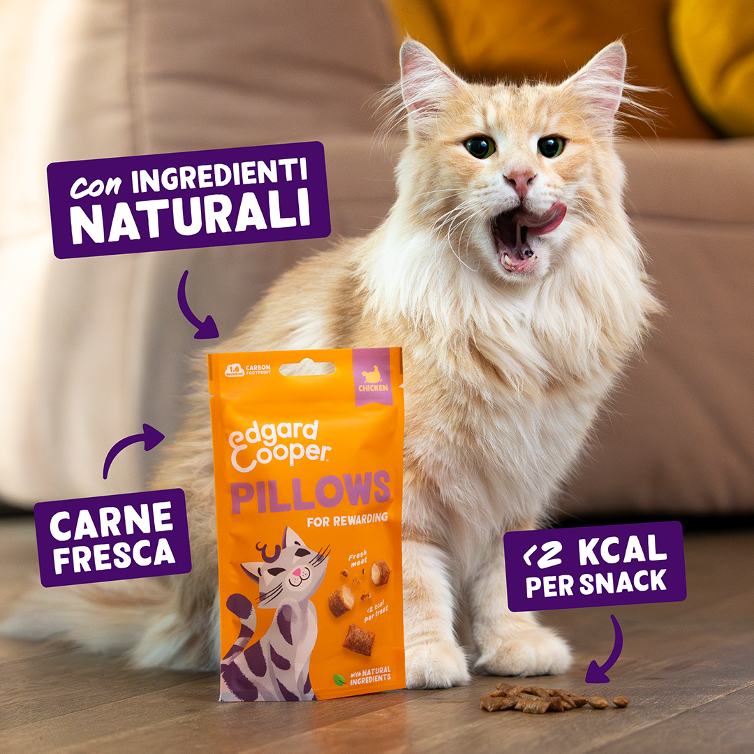 Ecomm Claims - Cat All Pillows Chicken IT