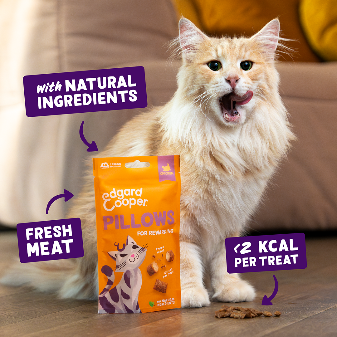 Ecomm Claims - Cat All Pillows Chicken EN