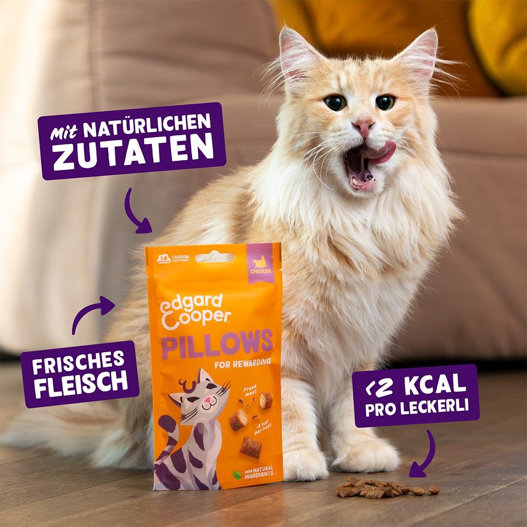Ecomm Claims - Cat All Pillows Chicken DE