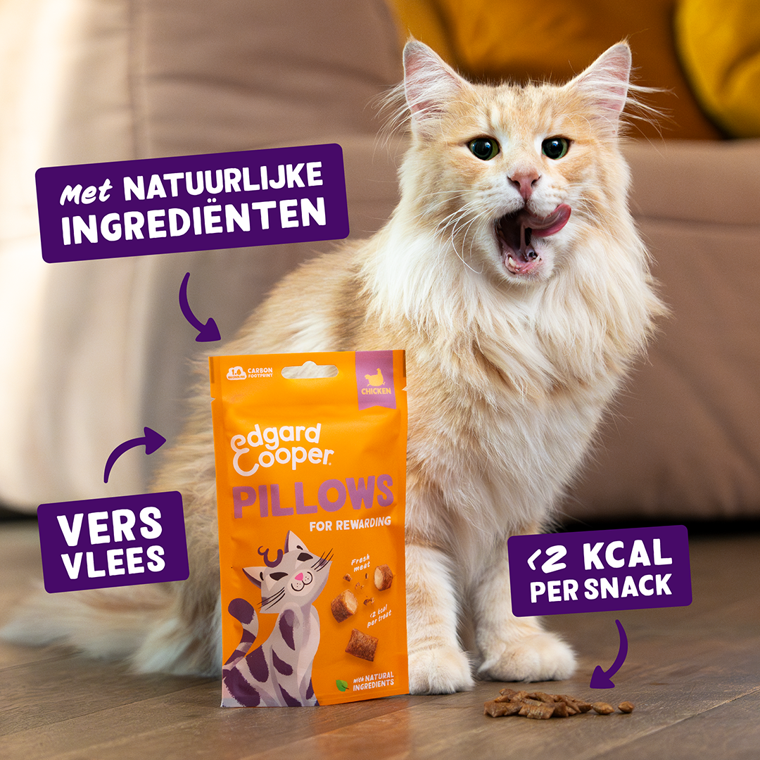 Ecomm Claims - Cat All Pillows Chicken NL