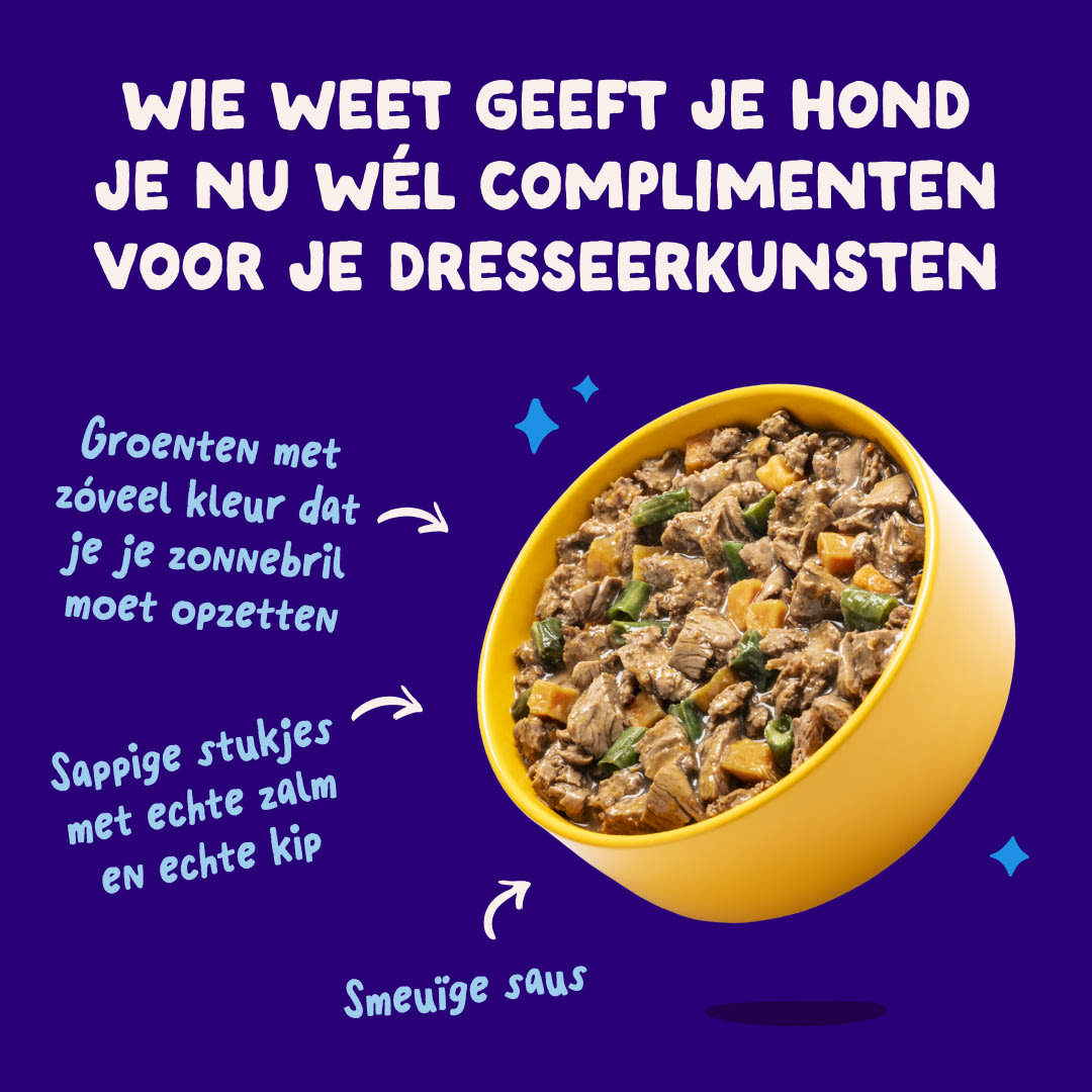 2 DWD D2C NL Salmon Product & Use