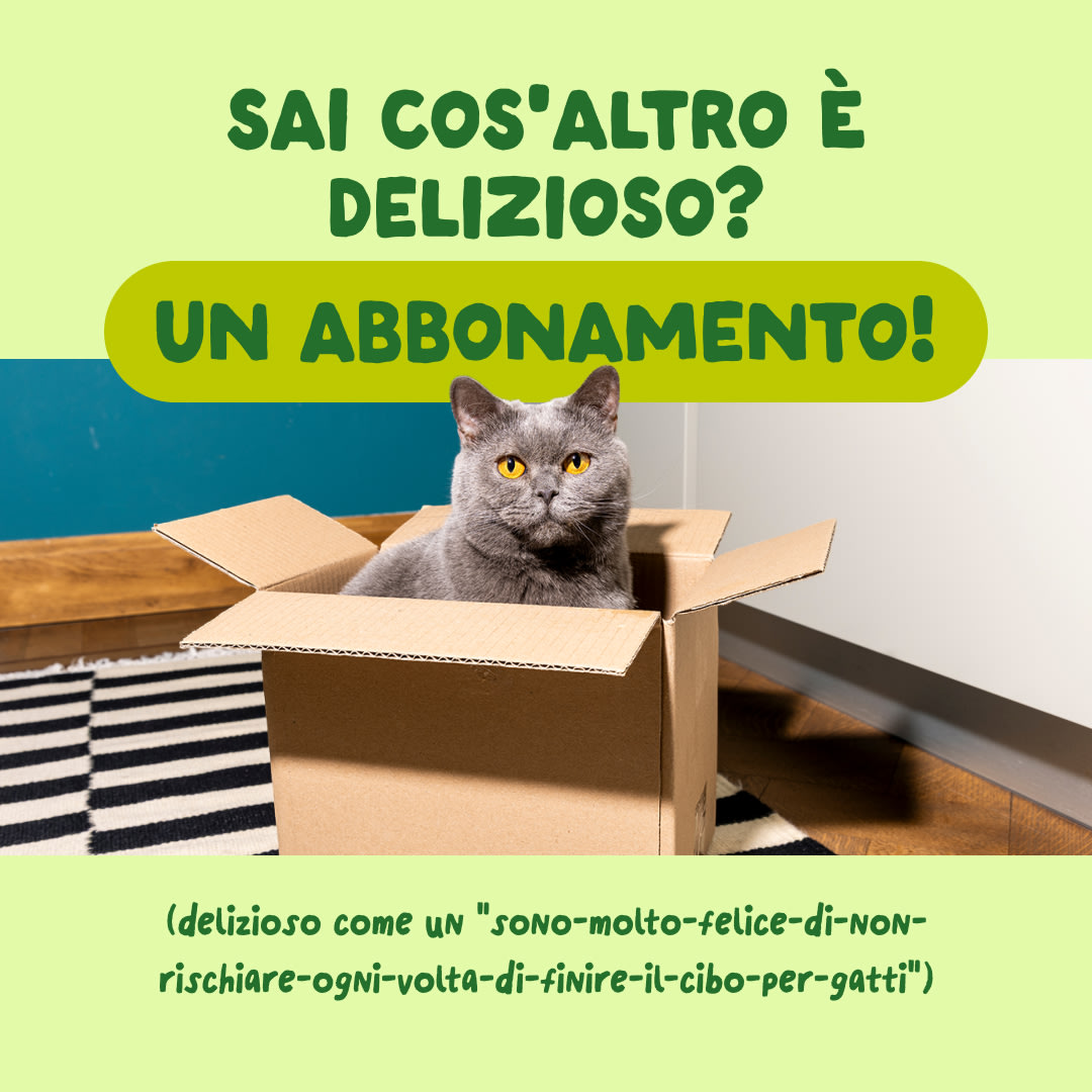 9 Cat-Fillets DTC IT MackerelNatural Subscription