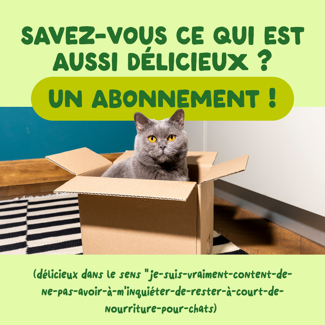 9 Cat-Fillets DTC FR MackerelNatural Subscription