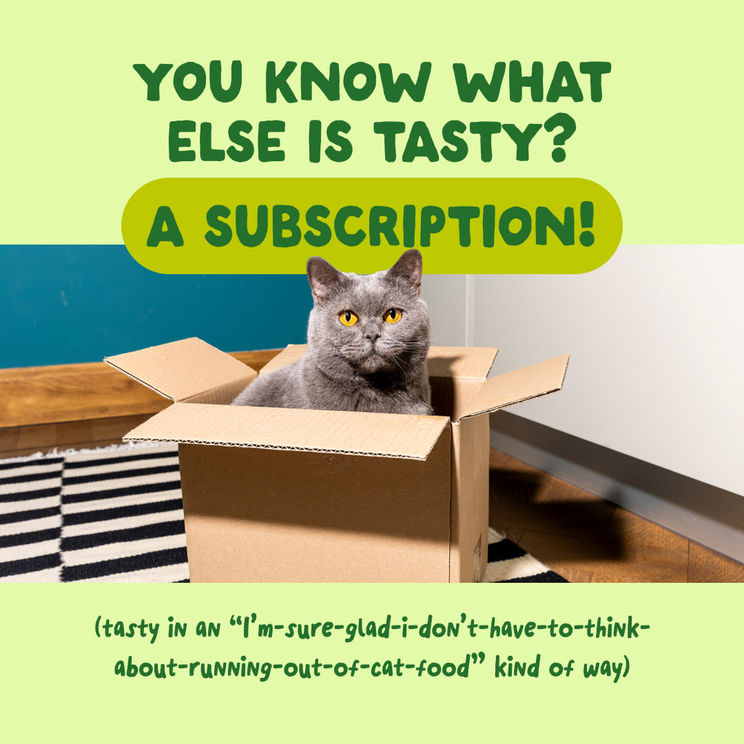 9 Cat-Fillets DTC EXP MackerelNatural Subscription