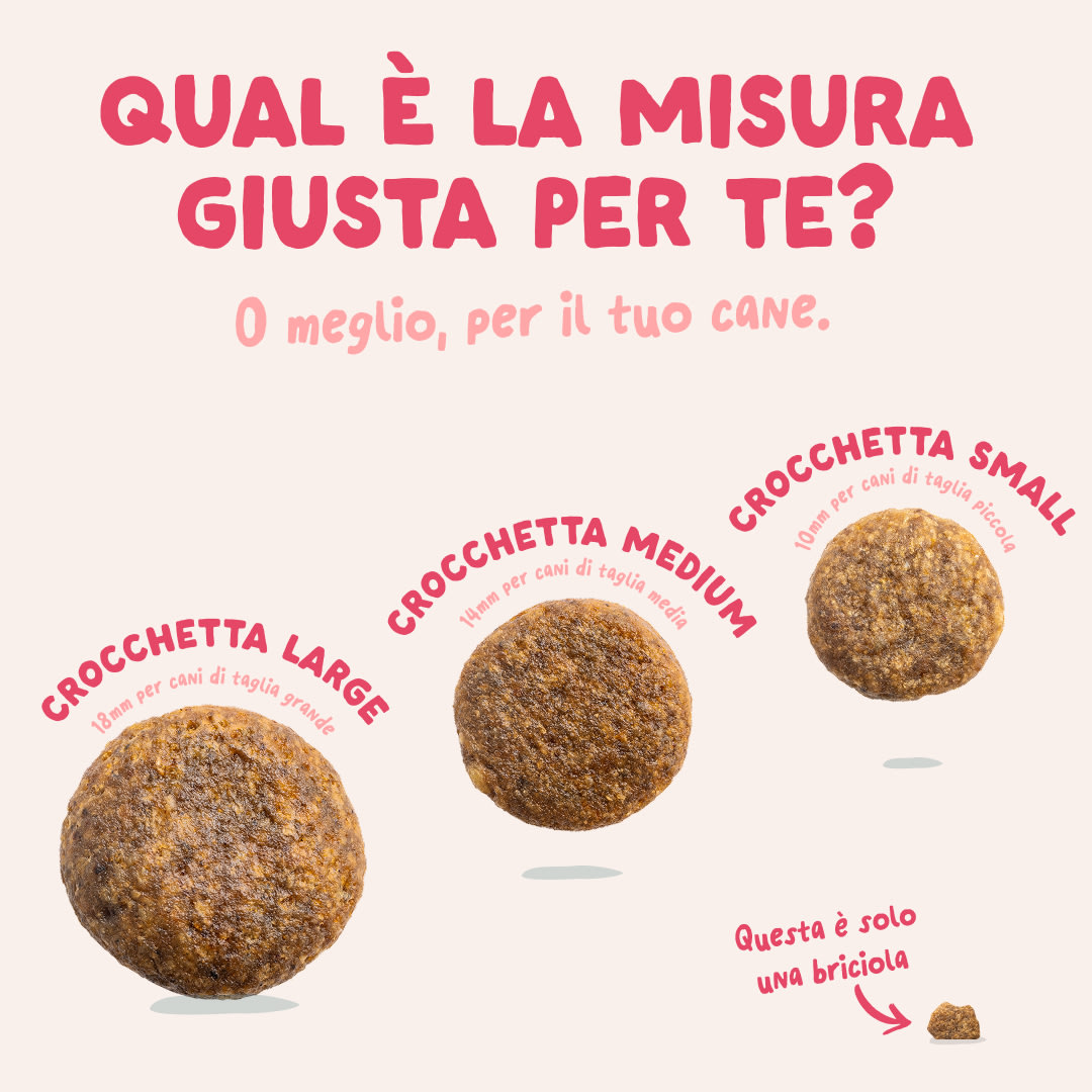 6 Dog-Refresh DTC-Assets IT Organic-Beef SIZE