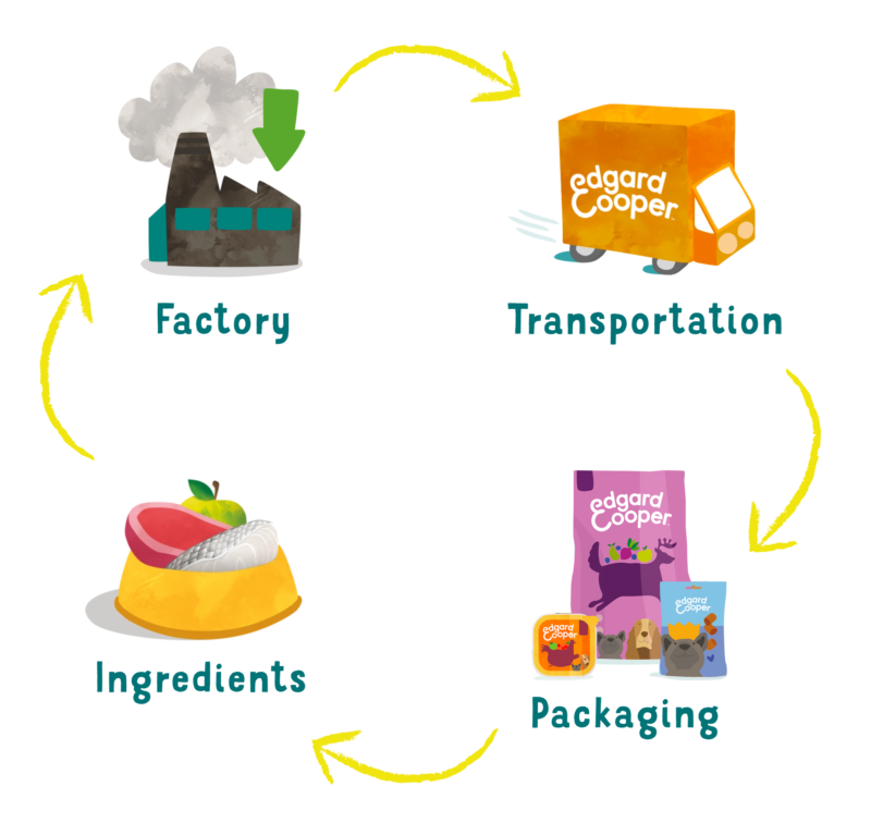 Carbon Scores Transportation