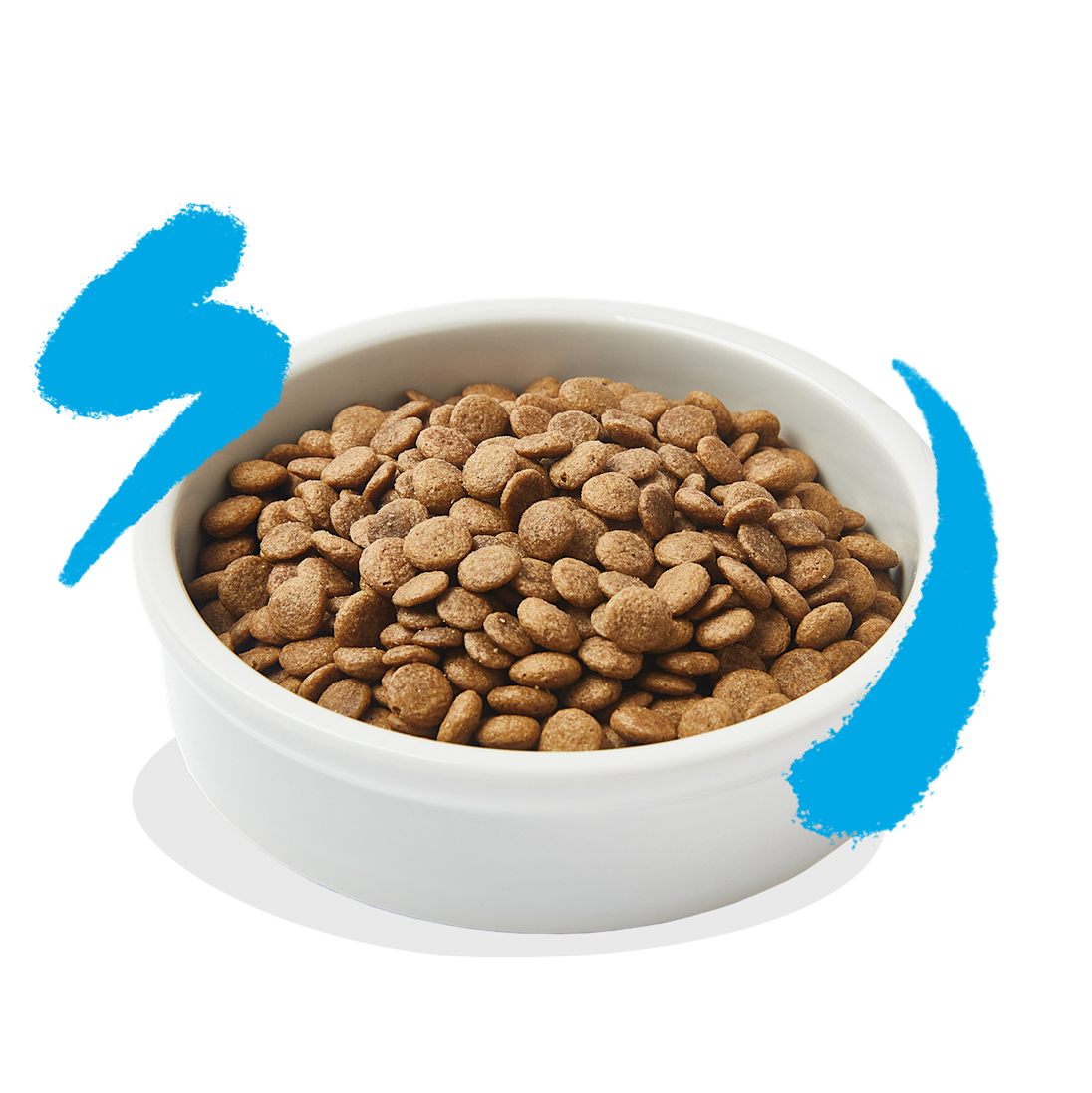 Product - Cat Adult Kibble Salmon