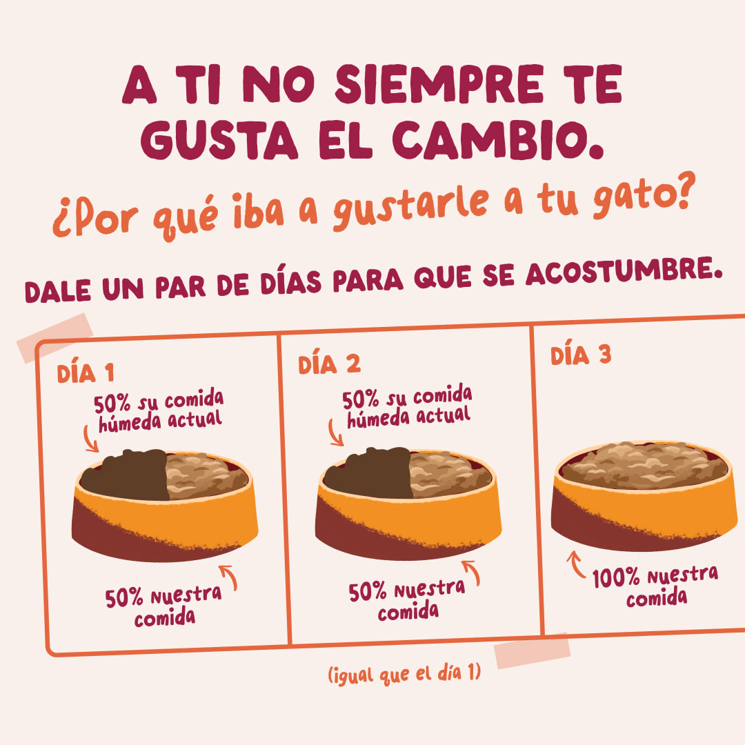 9 Chunks-Pouches DTC ES Chicken Switch