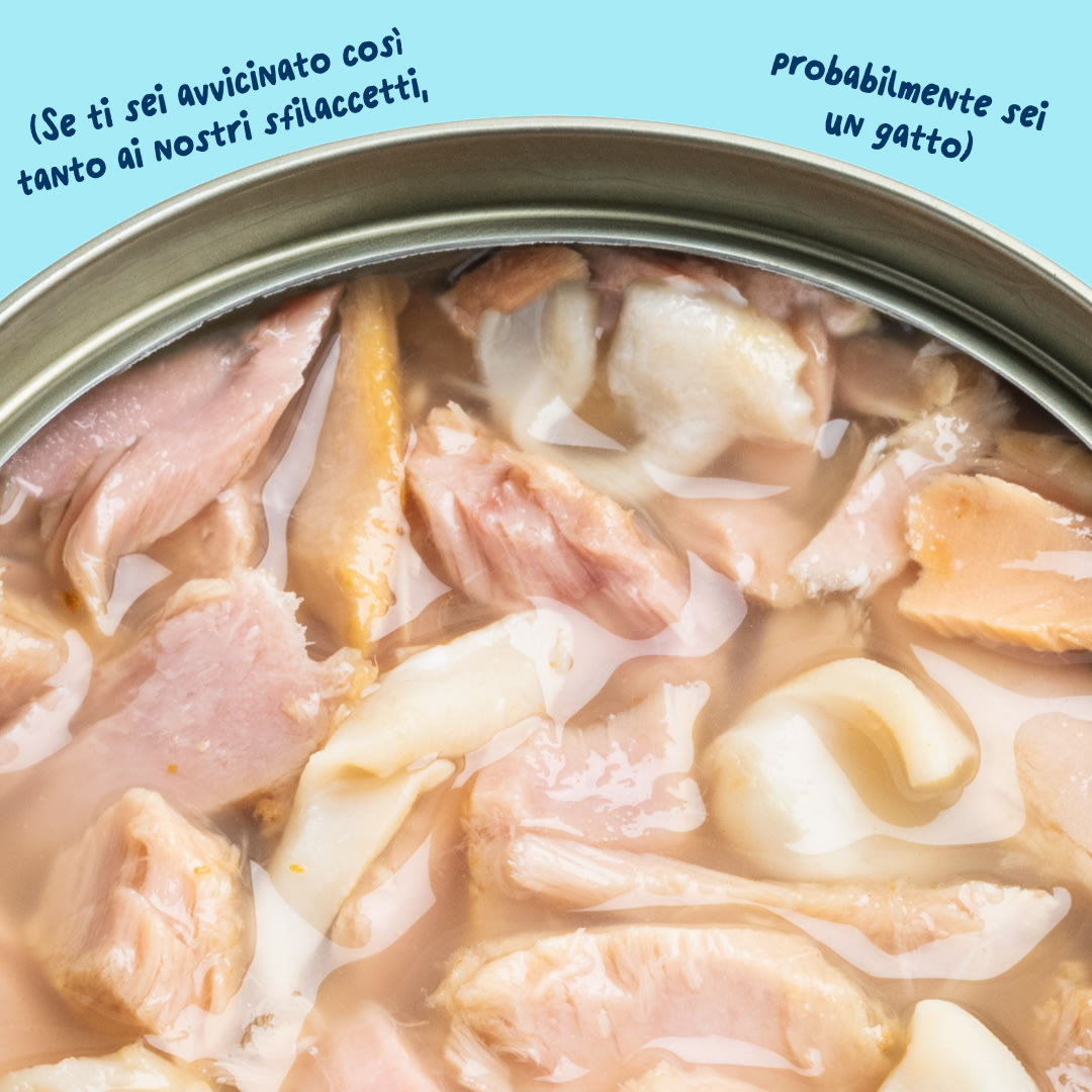 6 Cat-Fillets DTC IT TunaSquid Texture