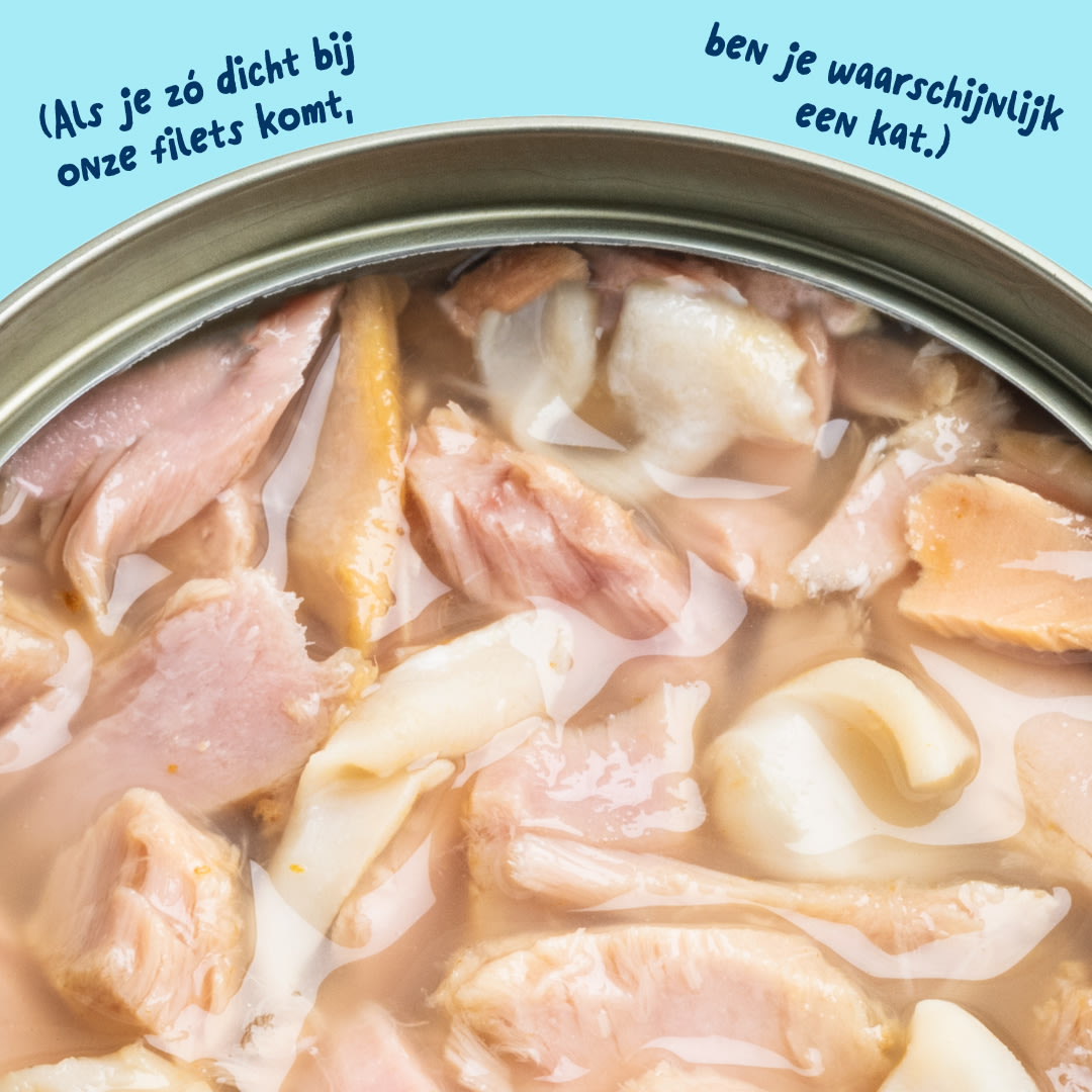 6 Cat-Fillets DTC NL TunaSquid Texture