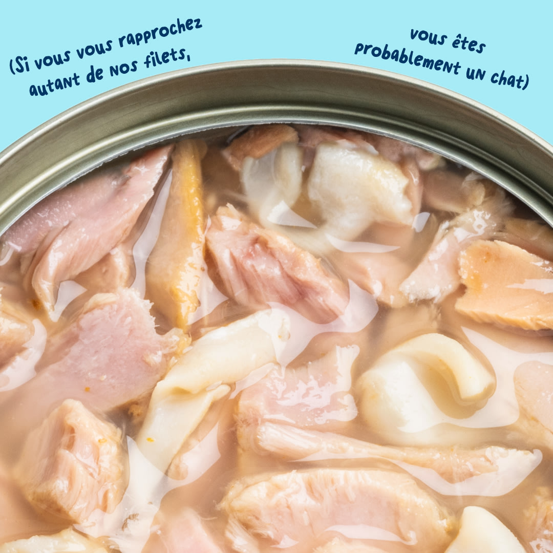 6 Cat-Fillets DTC FR TunaSquid Texture
