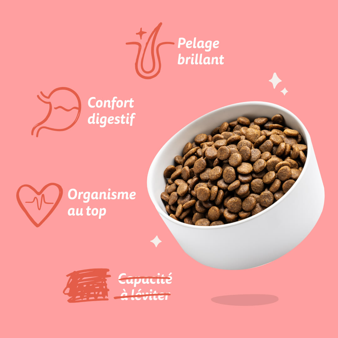 7 Dog-Refresh DTC-Assets FR Senior-Chicken BENEFITS