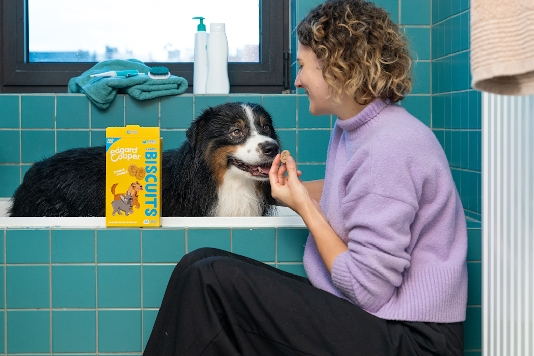 Lifestyle - Dog All Biscuits Turkey EN