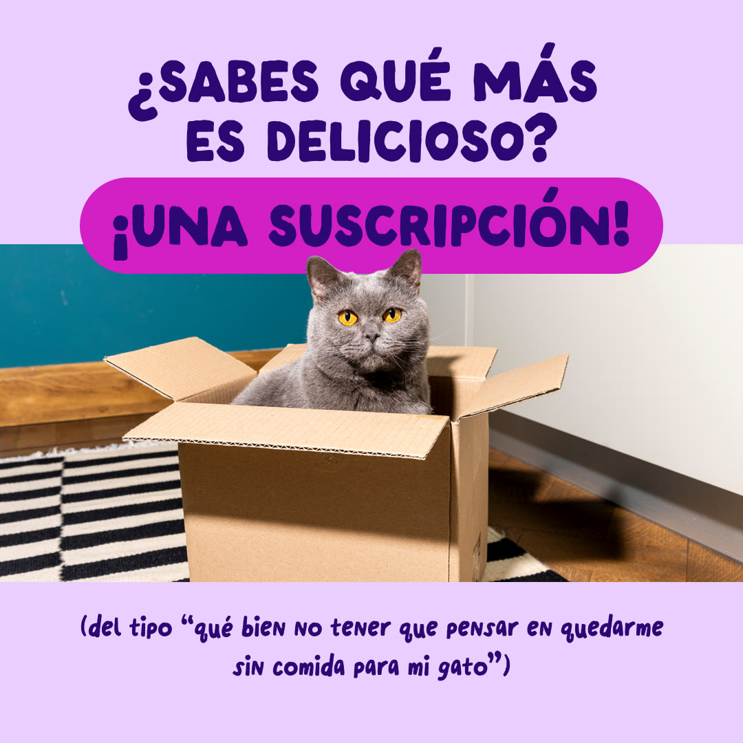 9 Cat-Fillets DTC ES SalmonTuna Subscription