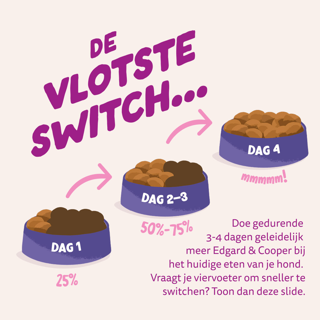 4 Dog-Refresh DTC-Assets NL Puppy-Duck SWITCH