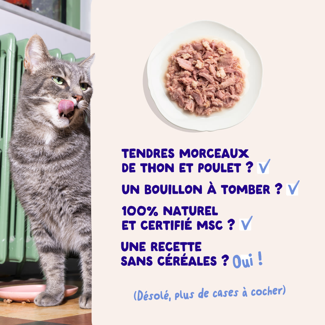 5 Cat-Fillets DTC FR TunaChicken USPs