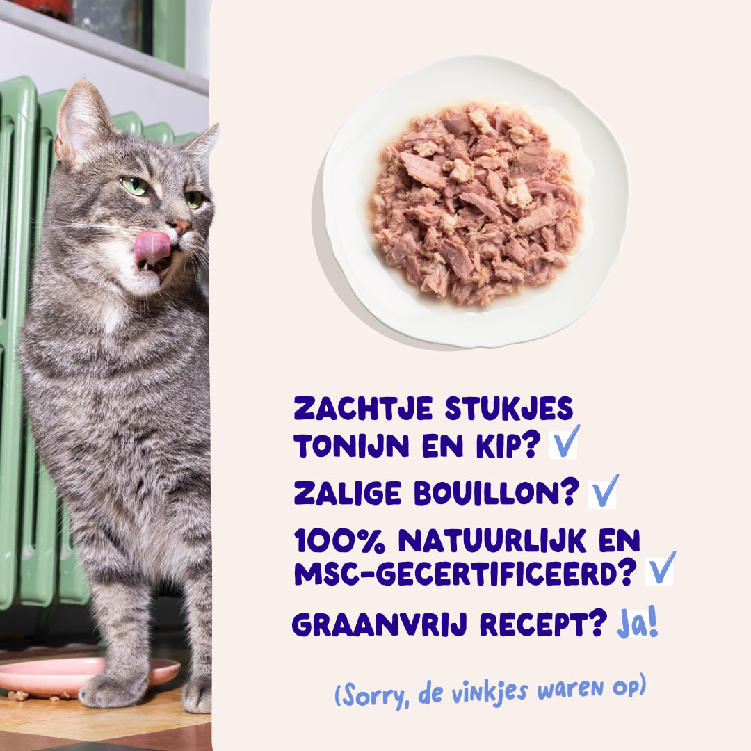 5 Cat-Fillets DTC NL TunaChicken USPs