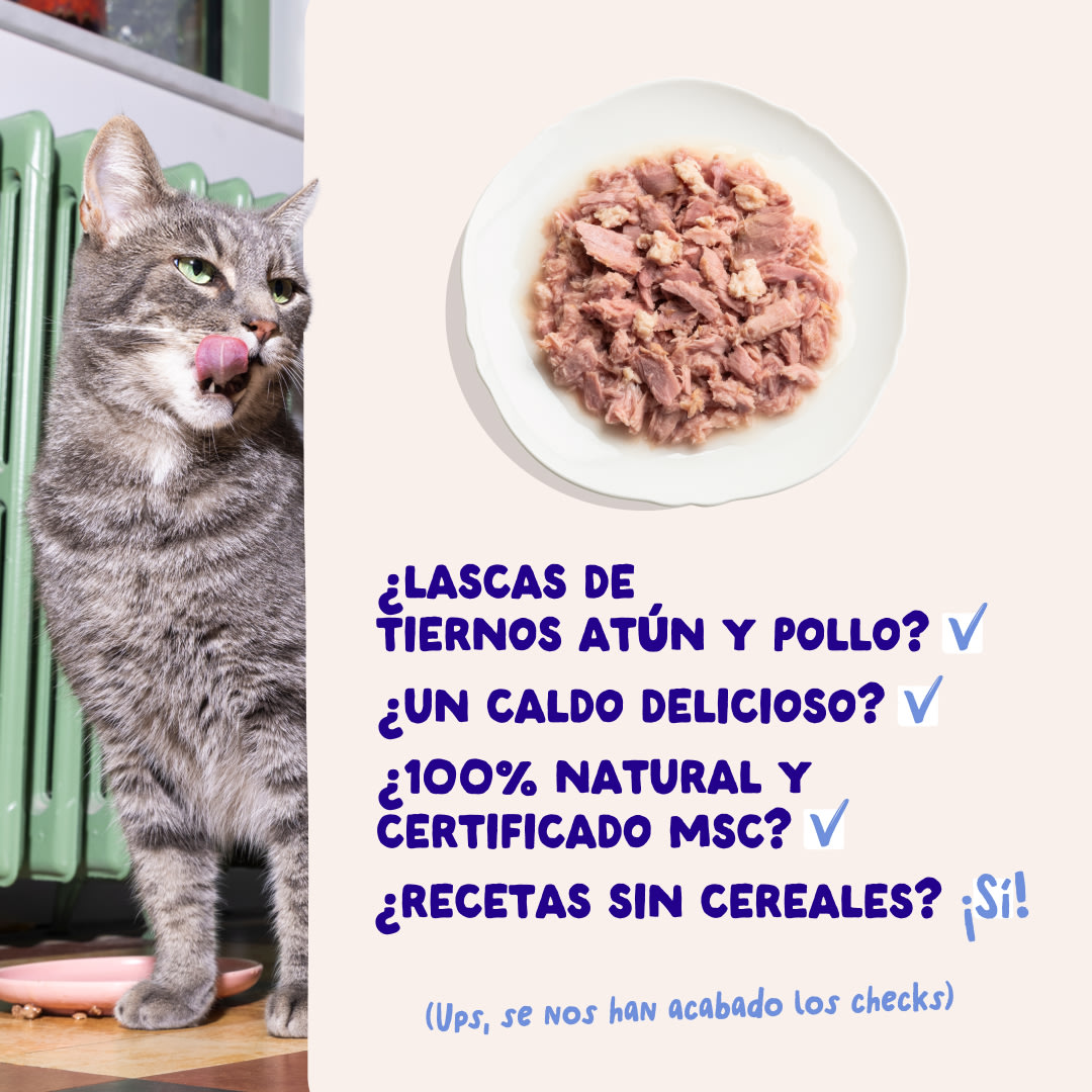 5 Cat-Fillets DTC ES TunaChicken USPs