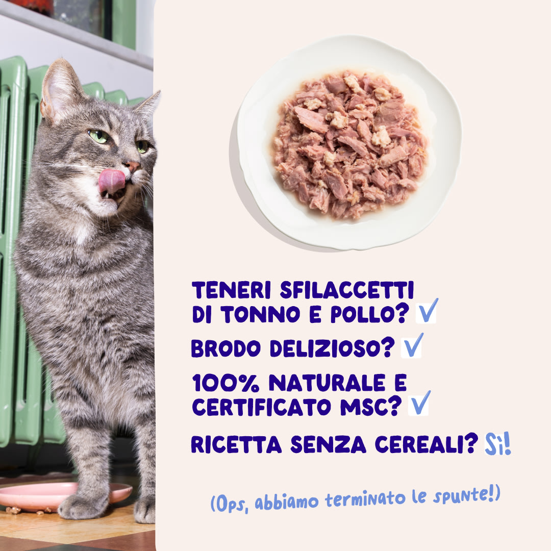 5 Cat-Fillets DTC IT TunaChicken USPs