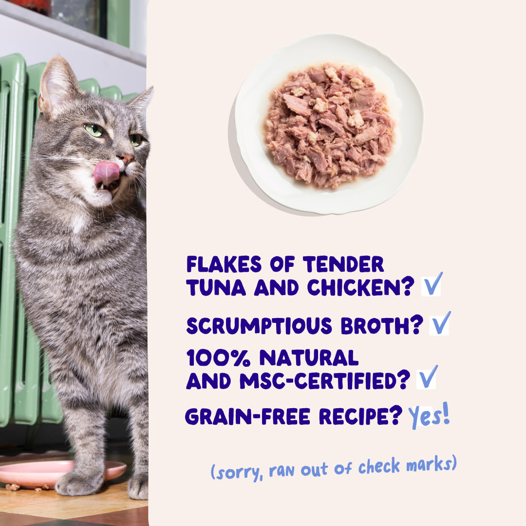 5 Cat-Fillets DTC EXP TunaChicken USPs