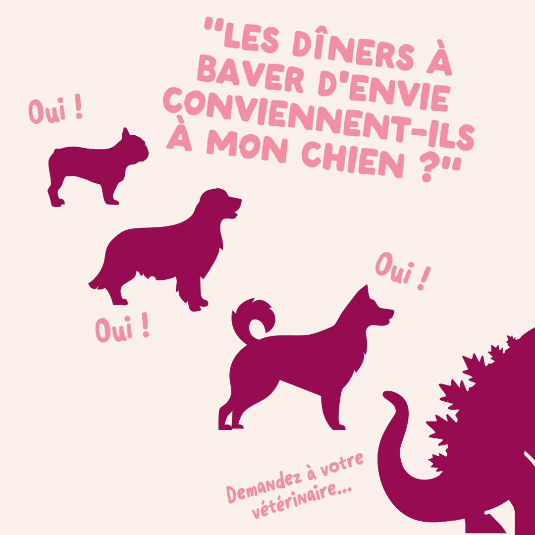8 DWD D2C FR PuppyTurkey Size