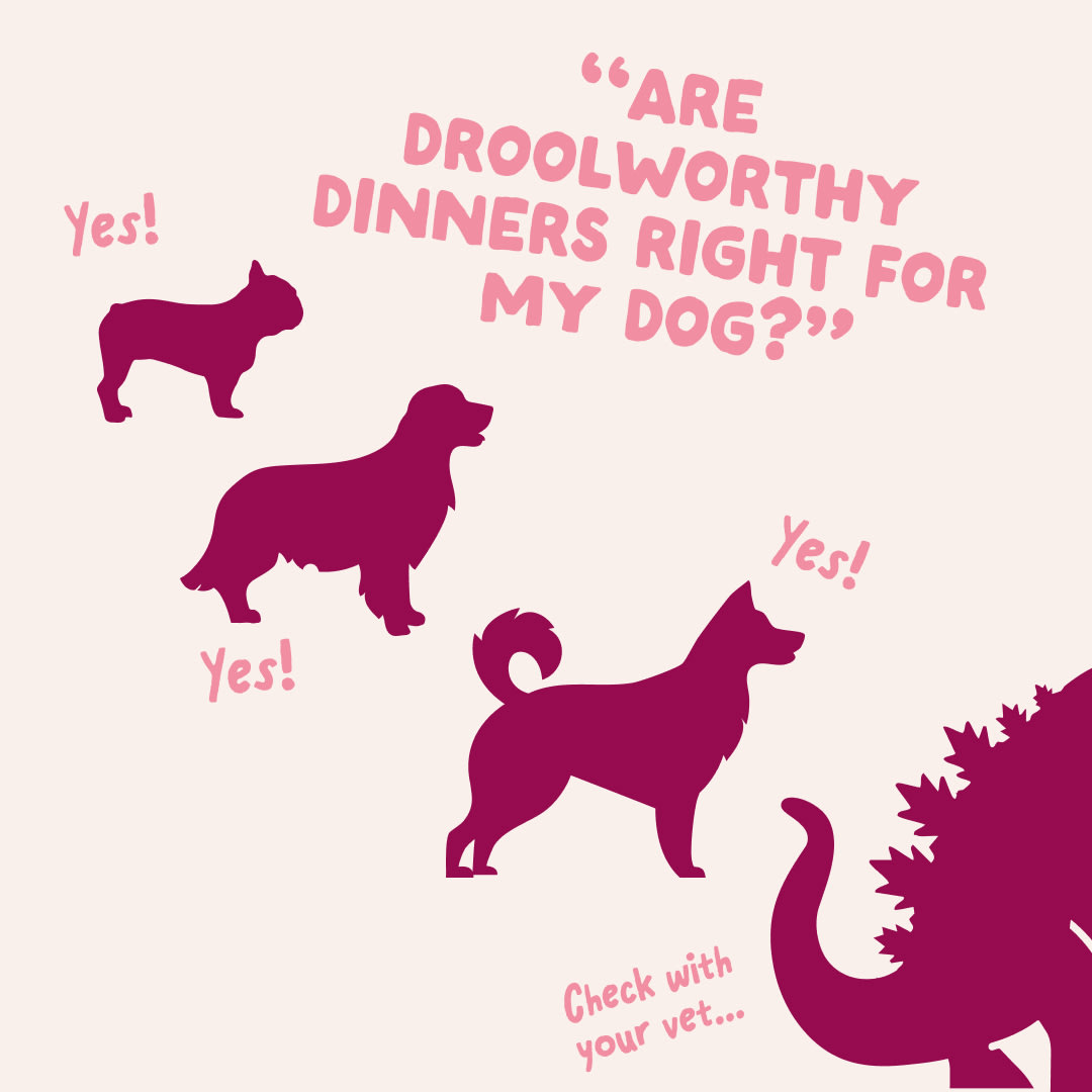 8 DWD D2C EXP PuppyTurkey Size