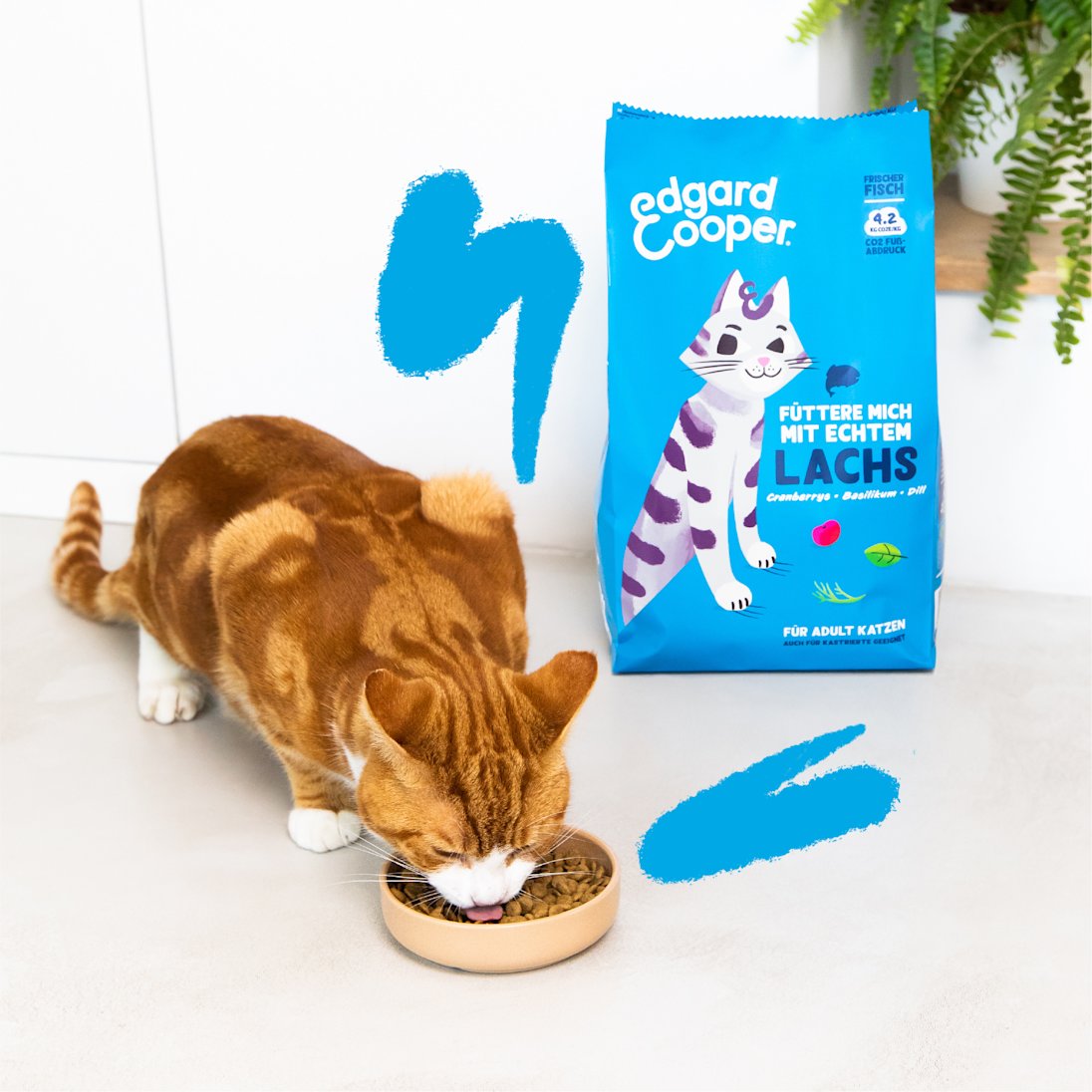 Lifestyle - Cat Adult Kibble Salmon EN