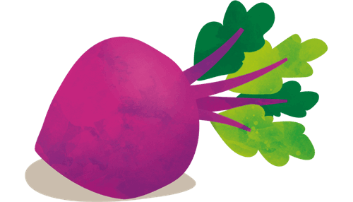 productDogFruit