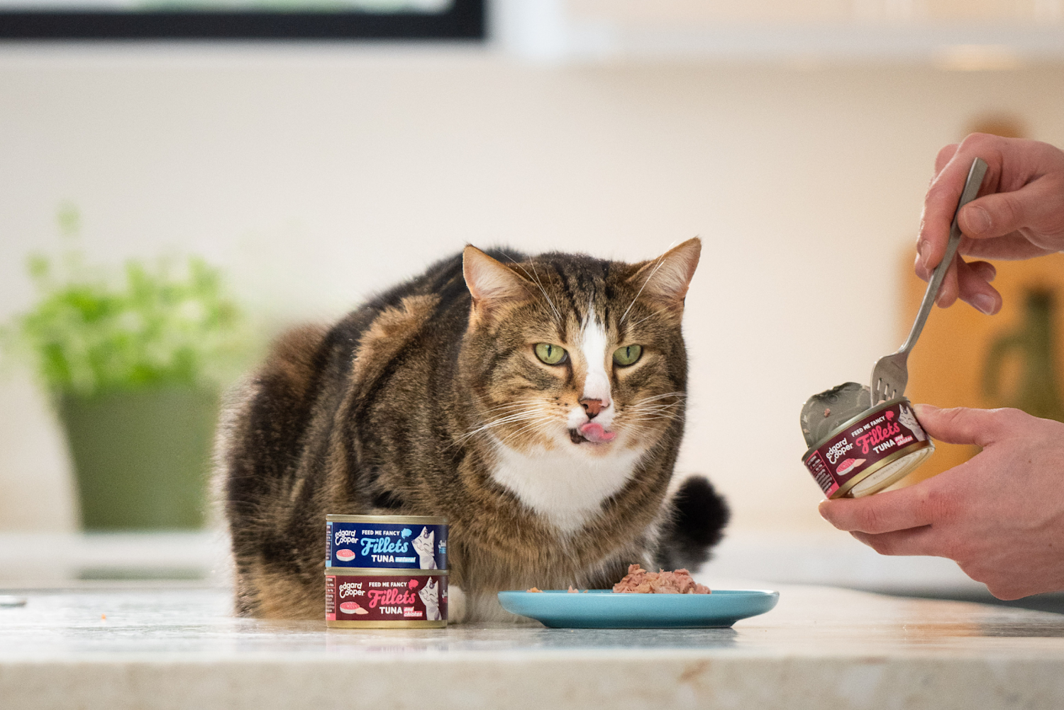 Cat Food Topper voor kieskeurige katten en zachte en gezonde snack voor