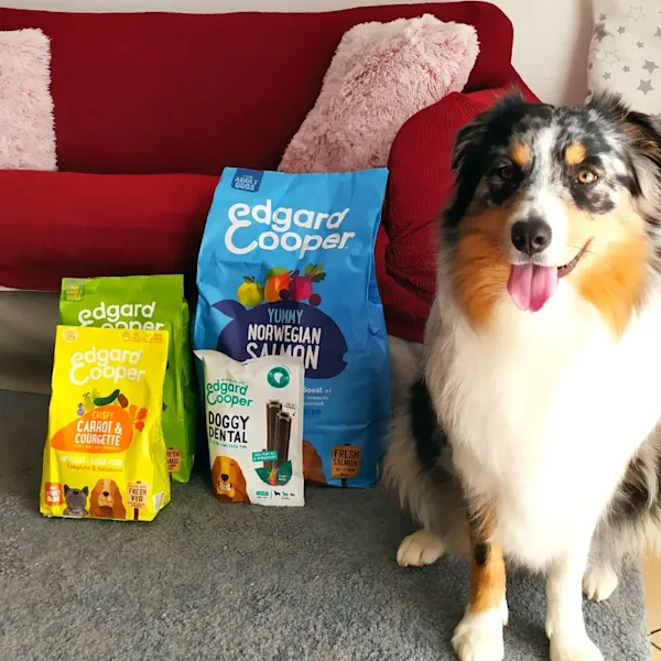 Getreidefreies Trockenfutter fr Adult Hunde  Frisches Huhn | Edgard &  Cooper