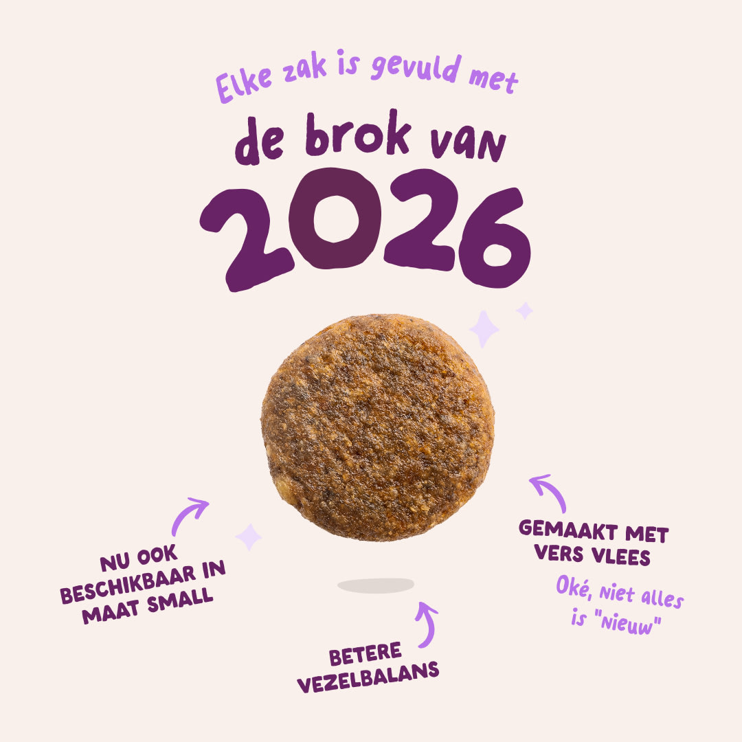 3 Dog-Refresh DTC-Assets NL Puppy-Salmonk 2026 KIBBLE